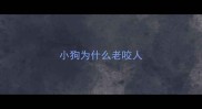 小狗为什么老咬人