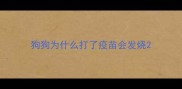 狗狗为什么打了疫苗会发烧