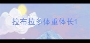 拉布拉多体重体长