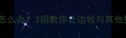 边牧性格孤僻怎么办3招教你让边牧与其他狗狗和平共处