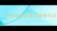 狗狗必打狂犬疫苗全攻略打疫苗前必看注意事项及接种后护理家长必存干货