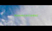 郑州拉布拉多犬舍排名