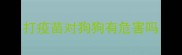 打疫苗对狗狗有危害吗