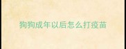 狗狗成年以后怎么打疫苗