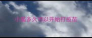 小猫多久可以开始打疫苗
