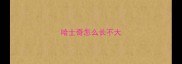 哈士奇怎么长不大