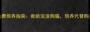 无锡宠物领养福利最新免费领养指南救助流浪狗猫领养代替购买附详细流程与领养条件