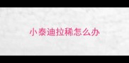 小泰迪拉稀怎么办