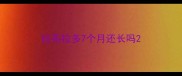 拉布拉多7个月还长吗