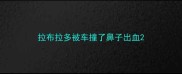 拉布拉多被车撞了鼻子出血