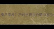 拉布拉多难产高发产前护理全攻略与紧急处理指南