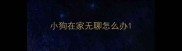 小狗在家无聊怎么办