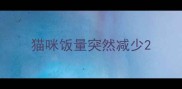 猫咪饭量突然减少