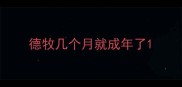 德牧几个月就成年了