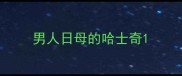 男人日母的哈士奇