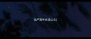 临产猫咪分泌红色