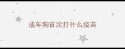 成年狗首次打什么疫苗