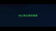 哈士奇正常的便便