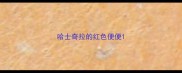哈士奇拉的红色便便