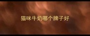 猫咪牛奶哪个牌子好