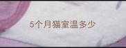 5个月猫室温多少