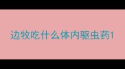 边牧吃什么体内驱虫药