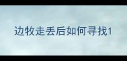 边牧走丢后如何寻找