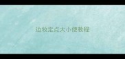 边牧定点大小便教程