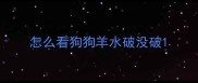 怎么看狗狗羊水破没破
