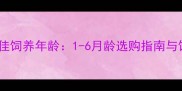 小鹿犬最佳饲养年龄1-6月龄选购指南与饲养要点