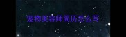 宠物美容师简历怎么写