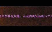 牧羊犬幼犬饲养全攻略从选购到训练的12个关键步骤