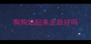 狗狗站起来走路好吗