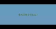 金毛的细小怎么办