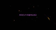 怀孕几个月就可以生