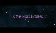 拉萨宠物医院上门服务