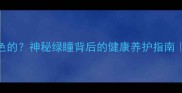 猫咪眼睛是绿色的神秘绿瞳背后的健康养护指南科学养宠必看
