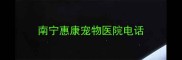 南宁惠康宠物医院电话