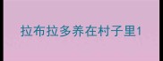 拉布拉多养在村子里