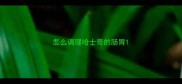 怎么调理哈士奇的肠胃