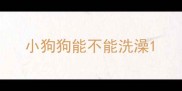 小狗狗能不能洗澡