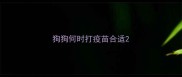 狗狗何时打疫苗合适