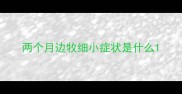两个月边牧细小症状是什么