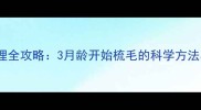 边牧幼犬护理全攻略3月龄开始梳毛的科学方法与注意事项