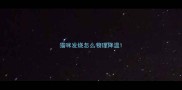 猫咪发烧怎么物理降温