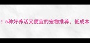 新手必看5种好养活又便宜的宠物推荐低成本养宠指南