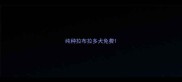 纯种拉布拉多犬免费
