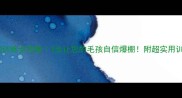 胆小狗狗训练全攻略3步让您的毛孩自信爆棚附超实用训练技巧
