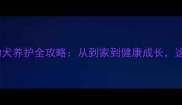 新手必看拉布拉多幼犬养护全攻略从到家到健康成长这份指南让你少走弯路