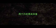 两个月的博美体重